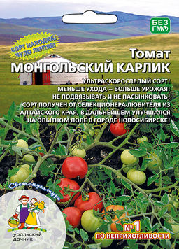 Томат МОНГОЛЬСКИЙ КАРЛИК  Чудо-сорт! Ультраскороспелый! Меньше ухода  больше урожай! Не подвязывать и не пасынковать! Легко переносит засуху, холод, стрессы! Для ленивых садоводов!