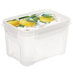 Контейнер для продуктов пластмассовый Fresh 1,1л, 16,5х11,6х9,5см, подходит для СВЧ (Россия)