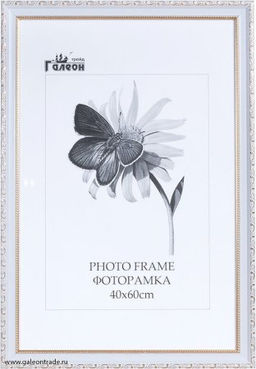 Цена за 1 шт. Фоторамка 40х60 / 10036-3 /