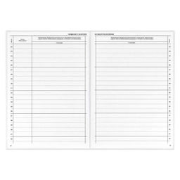 Классный журнал 10-11 класс арт. 5193