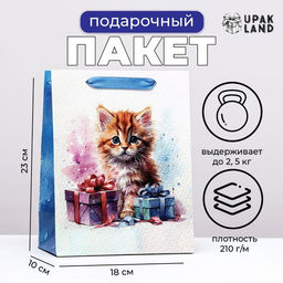 Цена за 2 шт. Пакет ламинированный вертикальный Котенок, 18?23?10 см