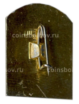 Значок Коломенское