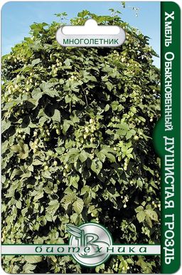 Хмель обыкновенный Душистая гроздь