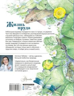 Жизнь пруда