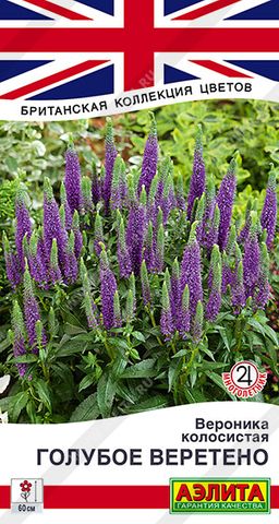 Вероника Голубое веретено (2026)