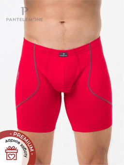 Трусы шорты удлиненные мужские PMHLL-1469 - Pantelemone фото 26