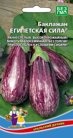 Баклажан ЕГИПЕТСКАЯ СИЛА  раннеспелый! Мякоть малосемянная, без горечи! Приспособлен к условиям Сибири!