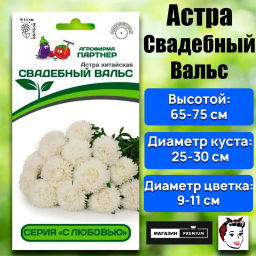 Астра китайская Свадебный Вальс - Партнер фото 2