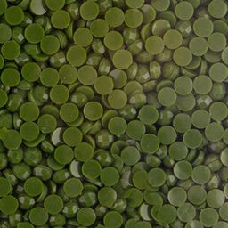 Страз неклеевой Zlatka OZM SS08 цветные 2.5 мм акрил 10 х 10 г в пакете с картонным еврослотом СК/Распродажа № 0090 св-хаки