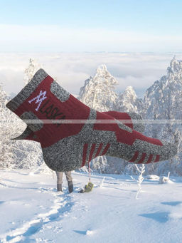 Цена за 12 пар. "АЛЯСКА" Термоноски спортивные ВНУТРИ МАХРА женские, подростковые арт. 1258