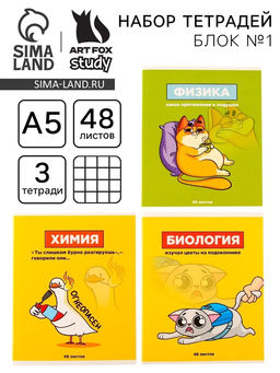 Тетради предметные, 48 л., А5, набор из 3 шт. «Персонажи»