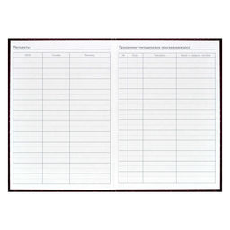 Ежегодник учителя арт. 62336 БОРДОВАЯ ФАКТУРА - Феникс+ фото 4