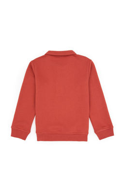 Erkek _ocuk G_l Kurusu Yar_m Fermuarl_ Sweatshirt - U.s. polo assn фото 2
