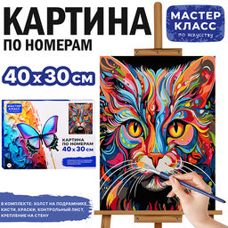 Набор для рисования "Картина по номерам 30х40 см. Яркая кошка"