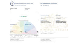 Браслет с подвеской из Бирюзы - Радуга самоцветов фото 3