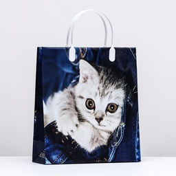 Цена за 10 шт. Пакет «Котенок на джинсах», мягкий пластик, 26×23 см, 110 мкм