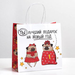 Пакет подарочный новогодний «Ты - лучший подарок», 22×22×11 см