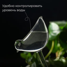 Автополив для комнатных растений Птичка, 90 мл, ПВХ, Greengo фото 2