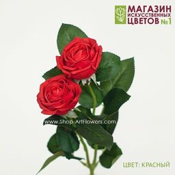 075 Роза двойная пионовидная - Без тм фото 6