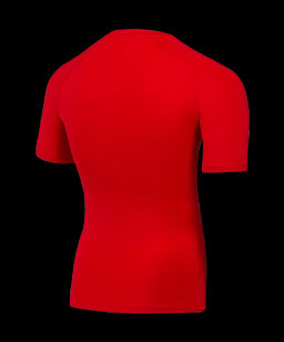 Футболка компрессионная JOGEL PerFormDRY Baselayer Tee SS 2, красный  фото 3