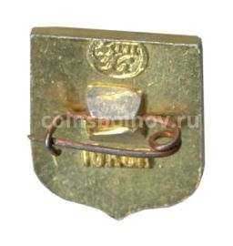 Значок Пинг-Понг