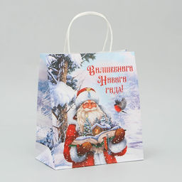 Пакет крафтовый Волшебного Нового года, 22 25 12 см