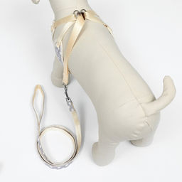 Комплект с мягкой шлейкой Горох, размер S, поводок 120 х 1,5 см, ОГ 28-62 см, серый - Пижон фото 2