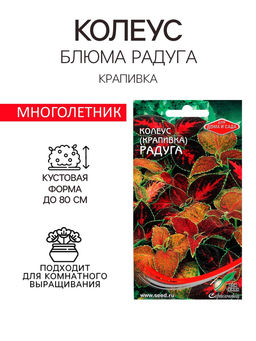 Цена за 2 шт. Семена комнатных цветов Колеус "Блюма Радуга", 130 шт.