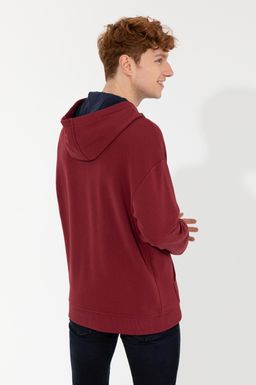 U. S. Polo Assn Мужская толстовка оверсайз с капюшоном вишневого цвета - U.s. polo assn фото 5