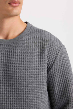Мужской серый жаккардовый свитшот стандартного кроя с круглым вырезом - Defacto фото 5