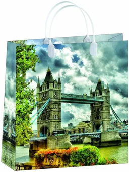 9616 Сумка пластик. BAM 147 (30x30см) средняя Мост *20