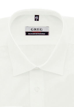 Сорочка мужская длинный рукав GREG 510/399/ALT/ZV