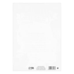 Цена за 40 шт. Диплом на Выпускной «Выпускника детского сада», А4, 157 гр/кв.м