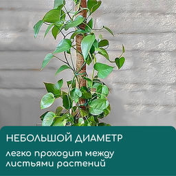 Опора для подвязки растений, h=60 см, d=5 см, кокосовая, Greengo  фото 3