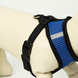 Комплект амуниции с мягкой шлейкой и светоотражающей нашивкой, XL, ОШ 40 см, ОГ 46-60 см, синий 761 - Пижон фото 4