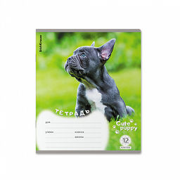 Цена за 10 шт. Тетрадь школьная ученическая ErichKrause Щенки, 12 листов, клетка (в плёнке по 10 шт.)_MIX-PACK  фото 7