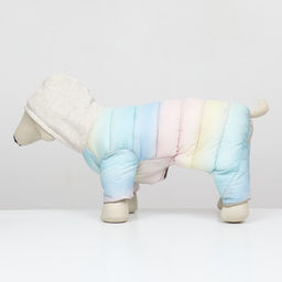 Комбинезон Для прогулки, размер 16 (ДС 36 см, ОГ 46 см, ОШ 35 см), пастельный - Simaland фото 4