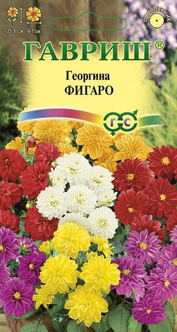 Фигаро, смесь окрасок георгина 7шт (г)