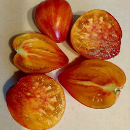 7033T Томат Кардинал на соломе 5шт