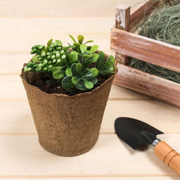 Цена за 2 шт. Горшок для рассады, 500 мл, d=11 см, h=10 см, торф, набор 20 шт., Greengo  фото 6