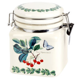 Банка для сыпучих продуктов (клипс) Fruit Garden 12х9,5х12см v=480мл (подарочная упаковка)