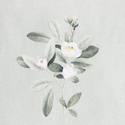 Покрывало Этель Jasmine, 180*215 см, 100% хлопок  фото 2