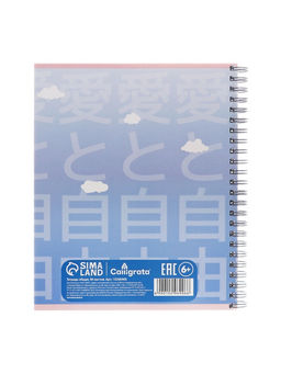 Набор тетрадей Calligrata «Аниме. Девочка с котом», 3 штуки, 96 листов, на гребне, обложка из мелованного картона