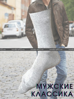 Цена за 10 пар. Легион носки мужские АССОРТИ 27  фото 3