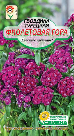 Фиолетовая гора гвоздика турецкая 0,1гр (ссс)