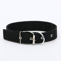 Ошейник клепаный, 48,5 х 3 см, ОШ 31-40 см, полиэстер, чёрный - Пижон фото 2