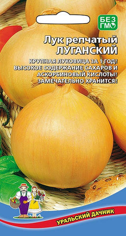 Лук репчатый ЛУГАНСКИЙ  Крупная луковица за 1 год! Высокое содержание сахаров и аскорбиновой кислоты! Замечательно хранится!