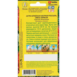 Астра Ажурная россыпь, смесь 0,2г (Аэлита )