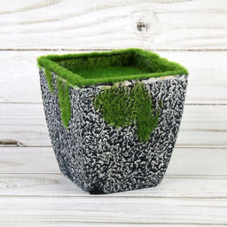 Кашпо со мхом декоративное 9,5 см / 16002 /уп 120/ - ГалеонТрейд фото 11