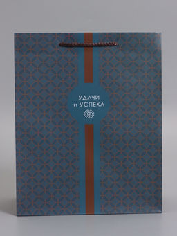 Пакет подарочный ламинированный «Статусный акцент», 26×12×32 см